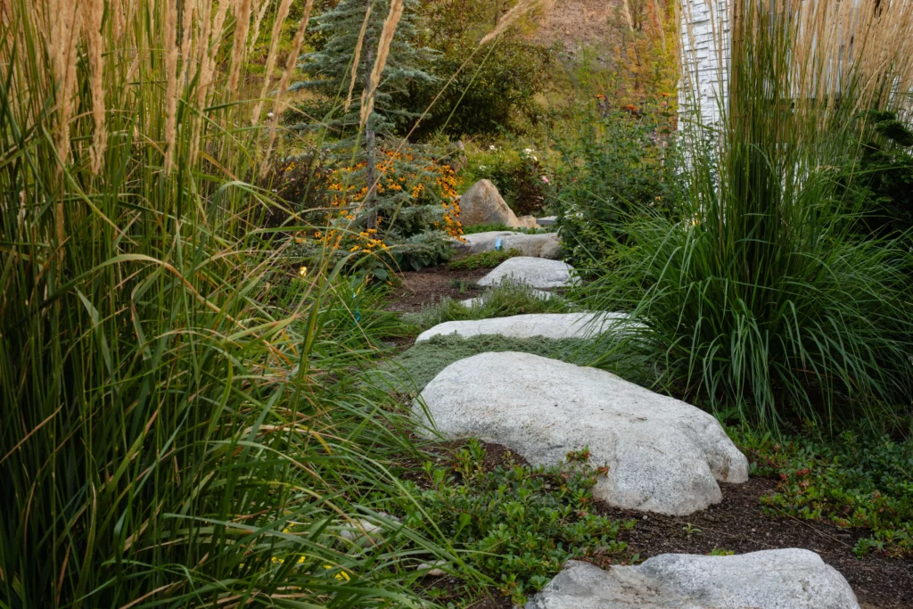 A narrow stone path winds through a garden with tall grasses, green plants, and clusters of yellow flowers, bordered by large white rocks—a serene example of expert landscaping by Copper Creek Landscaping.