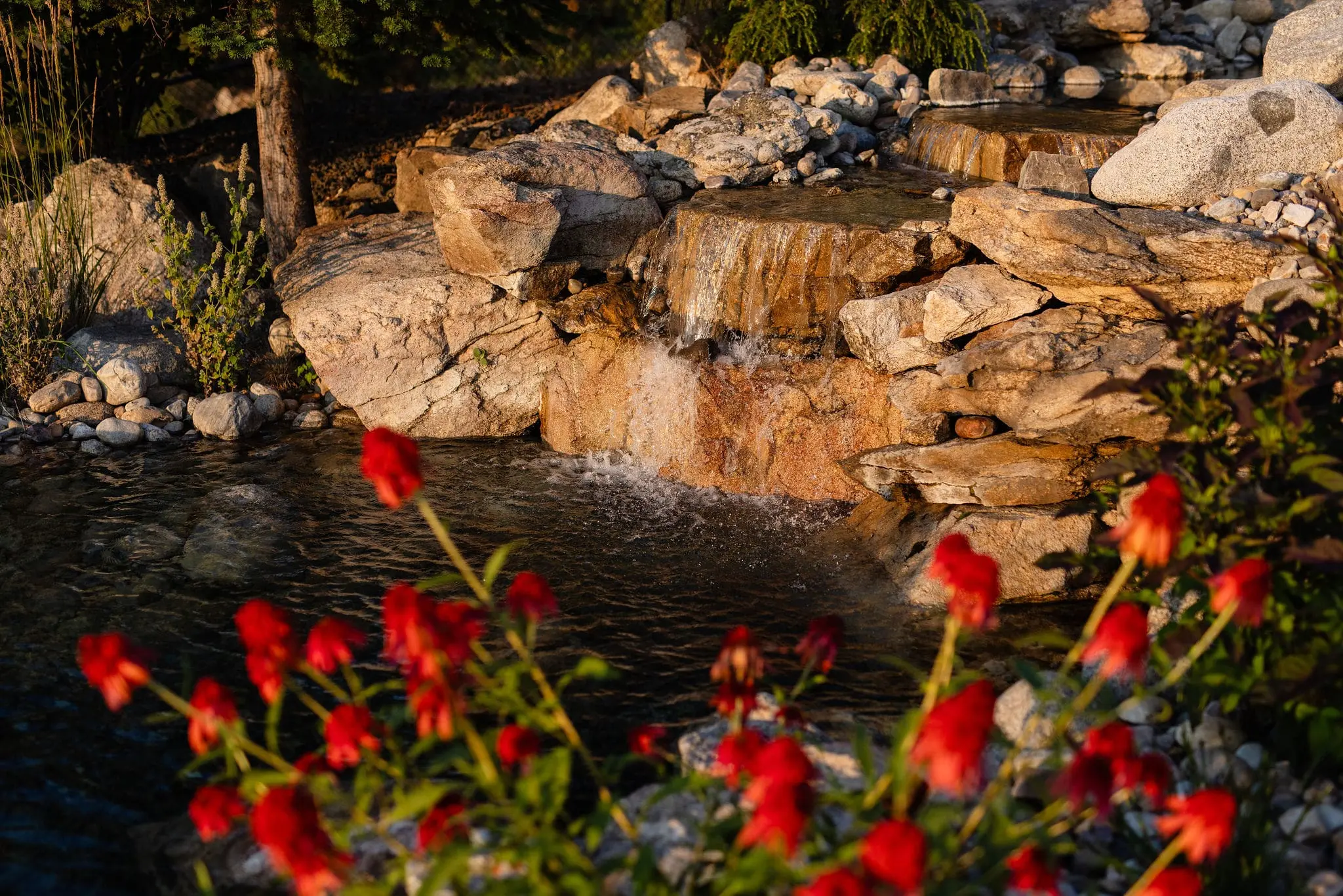 A small waterfall flows over layered rocks into a pond, surrounded by stones. Red flowers in the foreground are slightly out of focus. Sunlight casts a warm glow, highlighting expert landscaping by Copper Creek Landscaping.