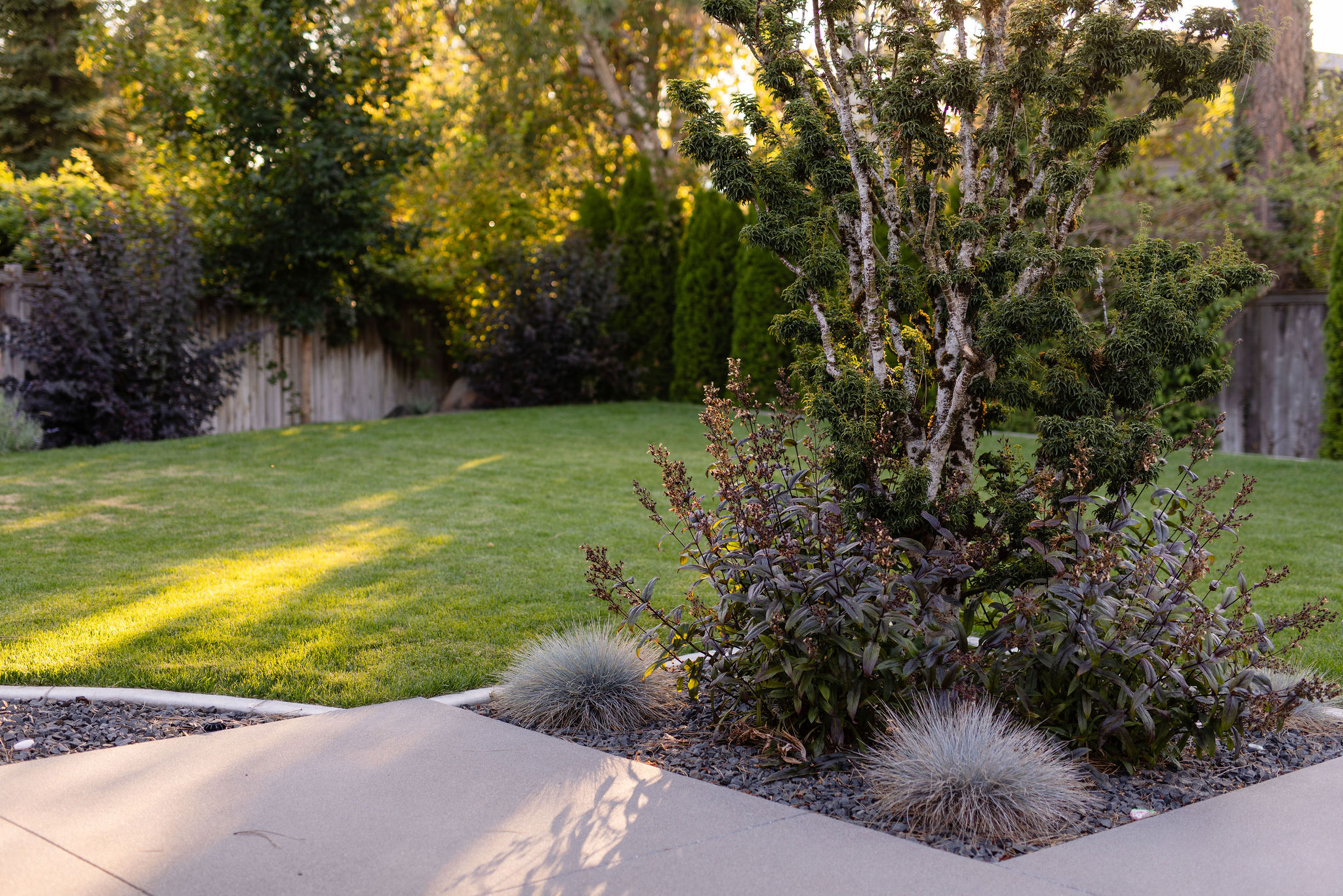 North Idaho Fall Planting: Why Fall Is the Perfect Time to Plant in Hayden, Idaho